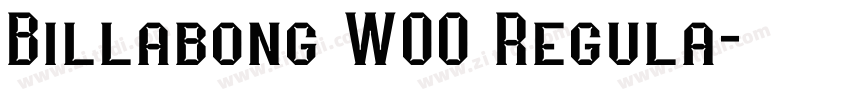 Billabong W00 Regula字体转换